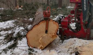 machinery cleaning up land after logging