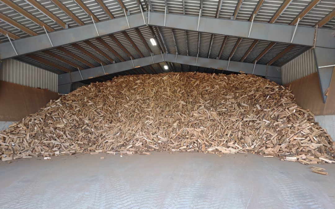 The Advantages of Kiln-Dried vs. Seasoned Firewood: Which is Worth the Cost? (Updated for 2023)