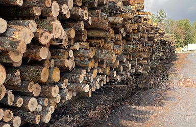 What To Know Before Buying Firewood For Your Wood Burning Furnace