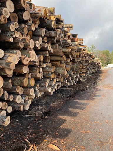 What To Know Before Buying Firewood For Your Wood Burning Furnace