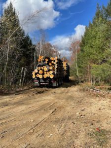 This photo depicts a log-bearing truck driving away from the camera on a skid trail through a forest, fully loaded with logs