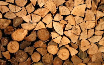 Is Firewood the Right Fuel for You?