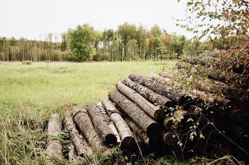 Environmentally Friendly Logging: Preserving Habitat