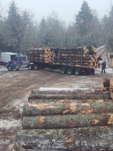 Day Logging Truck