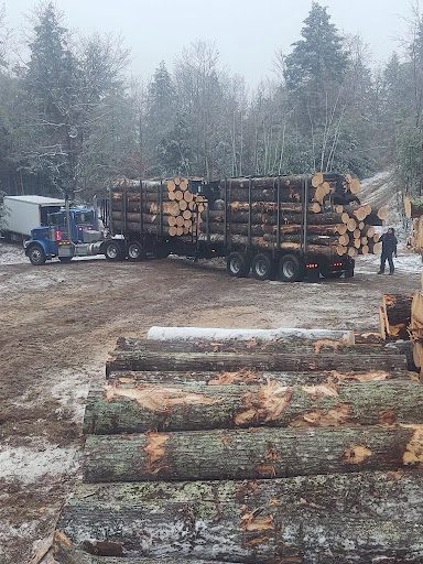 What You Need to Consider Before Hiring a Logger