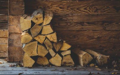 How Wholesale Firewood Has Transformed The Plant Nursery Industry