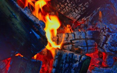 Burning Softwood Firewood: Separating Fact from Fiction
