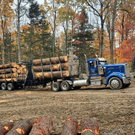 The Best of Timber Harvest Services  William A. Day Logging is a family-owned business that has been operational for over 30 years in Maine and New Hampshire, United States. The forest management planning company is run by Brent Day, Scott Day, and Brian Day, who offer wood or timber harvesting services, lot clearing, and trucking services. We also offer other Logging services, including wood lot assessment and log trucking.  William A. Day Logging also retails three distinct types of firewood, including (1) seasoned firewood that's left on Mother Nature to dry out, (2) kiln dried firewood that's dried out in a kiln to reduce drying time and to kill living organisms in the wood, and (3) green firewood that hasn't been dried out at all.  Contact William A. Day Logging for more information on timber harvesting services in Maine and New Hampshire. 