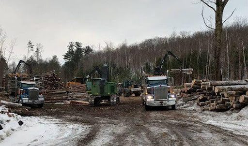 Thinking About Clearing Land for New Construction? Talk To A Logger First!