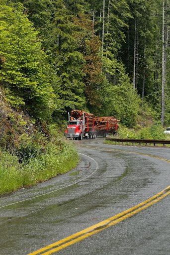 Truck delivering timber to a mill