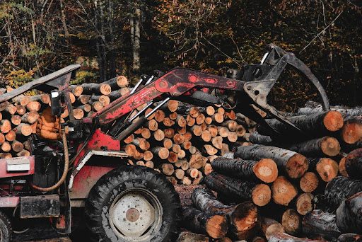 7 Ways to Find Logging & Timber Harvesting Companies Near Me