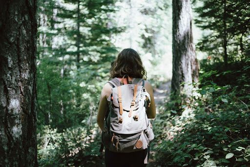 Forest Hiking Trails