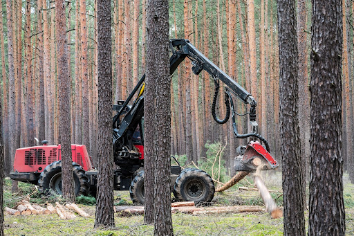 What Is Sustainable Logging? A Look At the Timber Supply Chain and Emerging Technologies