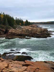 Maine Logging Shoreline example