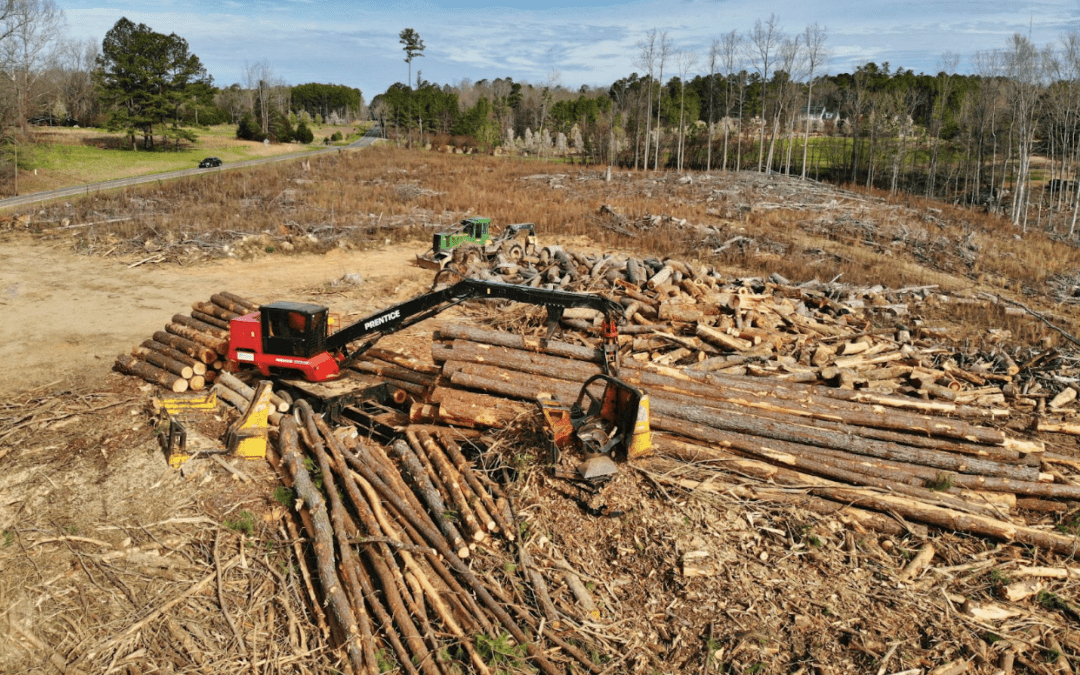How Can I Clear My Land Fast? A Landowner’s Guide to Lot Clearing
