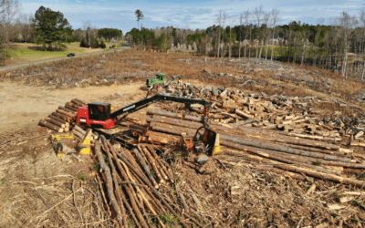 How Can I Clear My Land Fast? A Landowner’s Guide to Lot Clearing