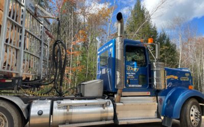 How Local Logging and Firewood Balances Out Demand for Sustainable Heating Fuel
